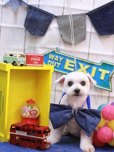 20230426うららちゃん